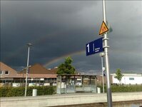 Bild 3 Herde in Weeze