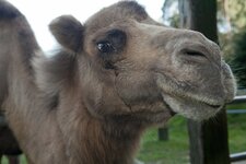 Bild 3 Brüggen in Brüggen