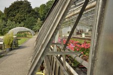Bild 1 Romantik-Gärtnerei Blumen Peeters in Krefeld
