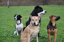 Bild 4 Kropff in Grevenbroich