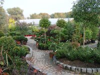 Bild 6 Hesselmann in Ratingen