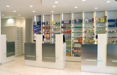 Bild 5 Bären in Mönchengladbach