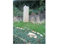 Bild 4 Breininger in Düsseldorf