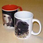 Bild 4 Profi Center Digitaldruck in Wuppertal