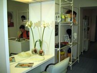 Bild 4 Lofty in Düsseldorf