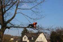 Bild 8 Wendling GbR in Erkrath