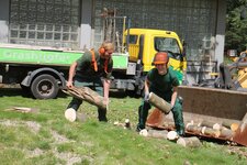 Bild 10 Grashüpfer GmbH in Krefeld