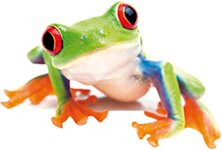 Bild 1 Imagno Digital GmbH & Co.KG in Krefeld