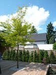 Bild 8 Grashüpfer GmbH in Krefeld