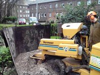 Bild 2 Baum & Forst Tiege in Moers