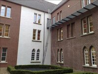 Bild 1 Herde in Weeze