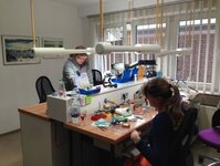 Bild 3 Dentallabor Kaarst in Kaarst