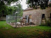 Bild 4 Tierschutzverein für den Kreis Neuss e.V. in Rommerskirchen