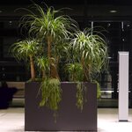 Bild 1 Blumen-Bender Inh. Ute Bender in Neuss