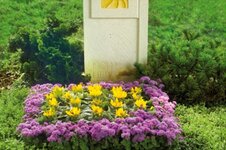 Bild 7 Janssen in Kleve
