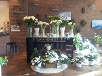 Bild 2 Romana's Blumenladen in Kamp-Lintfort