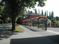 Bild 2 Romantik-Gärtnerei Blumen Peeters in Krefeld