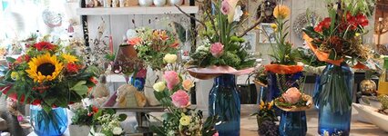 Bild 1 Ebben in Kleve