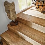 Bild 6 Günther in Mönchengladbach