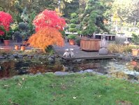 Bild 5 Der Pflanzgarten GmbH in Dinslaken