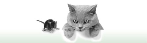 Bild 3 Tierarztpraxis Petra Scheunert in Solingen