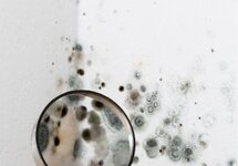 Bild 2 Beenen Trocknungstechnik GmbH in Wesel