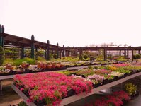 Bild 1 Gartencenter Siemes e.K. in Kempen