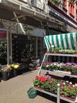 Bild 1 Weißweiler Gerd Blumen am Ring in Mönchengladbach