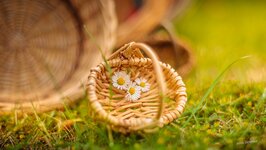 Bild 1 Turrek in Düsseldorf