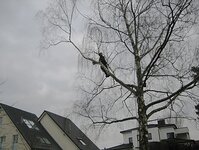 Bild 10 Van Huizen in Solingen