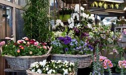 Bild 7 Blumen-Bender Inh. Ute Bender in Neuss