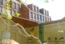 Bild 2 Lutherstift Seniorenzentrum Elberfeld in Wuppertal