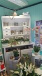 Bild 4 Gartenbau-Floristik Ockenfeld u. Heyn in Düsseldorf