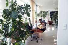 Bild 5 MVZ für Hämatologie und Onkologie Düsseldorf GmbH in Düsseldorf