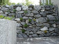 Bild 10 Wilms Kreative Floristik in Ratingen