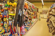 Bild 4 Siegel in Neukirchen-Vluyn