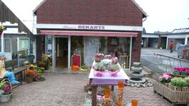 Bild 1 Blumen Gerarts in Krefeld