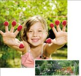 Bild 1 Michael Kloß Garten- und Landschaftsbau in Velbert