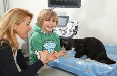 Bild 3 Gemmer in Meerbusch