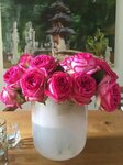 Bild 1 Blumen Holtappels in Kevelaer