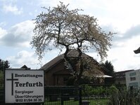 Bild 1 Bestattungen Terfurth in Voerde