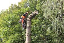 Bild 7 Wendling GbR in Erkrath