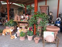 Bild 7 Lonzen in Düsseldorf
