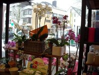 Bild 5 Blumen Bremkens Inh. Stefanie Wirtz e.K. in Düsseldorf