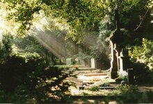 Bild 1 Vishers Garten-und Landschaftsbau GmbH in Düsseldorf