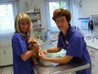 Bild 4 Kleintierarztpraxis in Ratingen