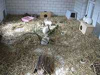 Bild 3 Tierschutzverein für den Kreis Neuss e.V. in Rommerskirchen