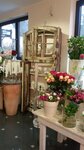 Bild 10 Blumen Bracht in Ratingen