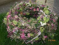 Bild 3 Annette Horst Blumen und Pflanzen in Wesel