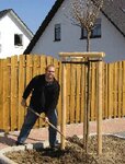 Bild 2 F. Polland KG in Neuss
